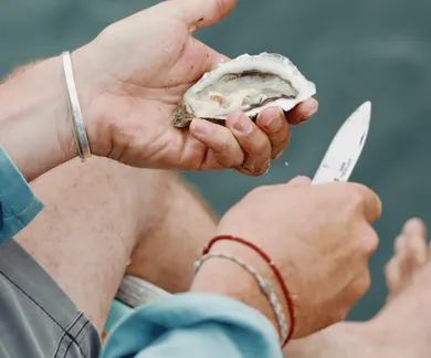 Photo d'une personne qui ouvre une huitre