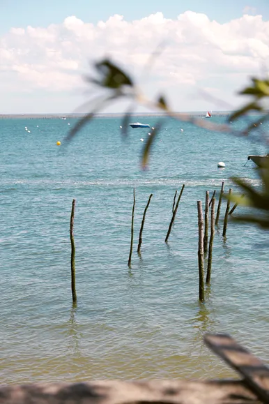 Bassin d'Arcachon