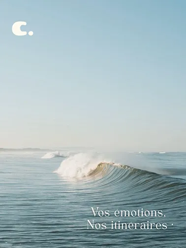 Image type carte postale avec la photo d'une vague